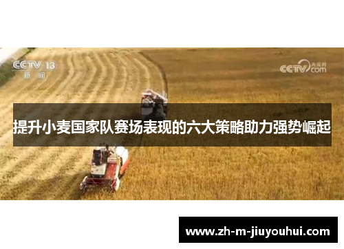 提升小麦国家队赛场表现的六大策略助力强势崛起 提升小麦国家队赛场表现的六大策略助力强势崛起