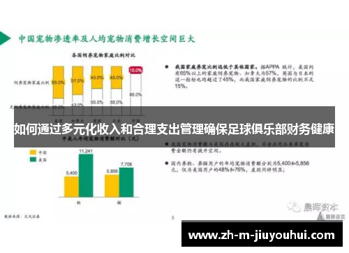 如何通过多元化收入和合理支出管理确保足球俱乐部财务健康