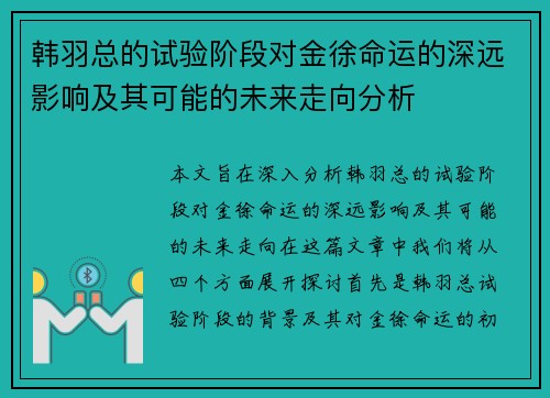 韩羽总的试验阶段对金徐命运的深远影响及其可能的未来走向分析